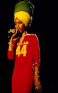 Artist Erykah Badu
